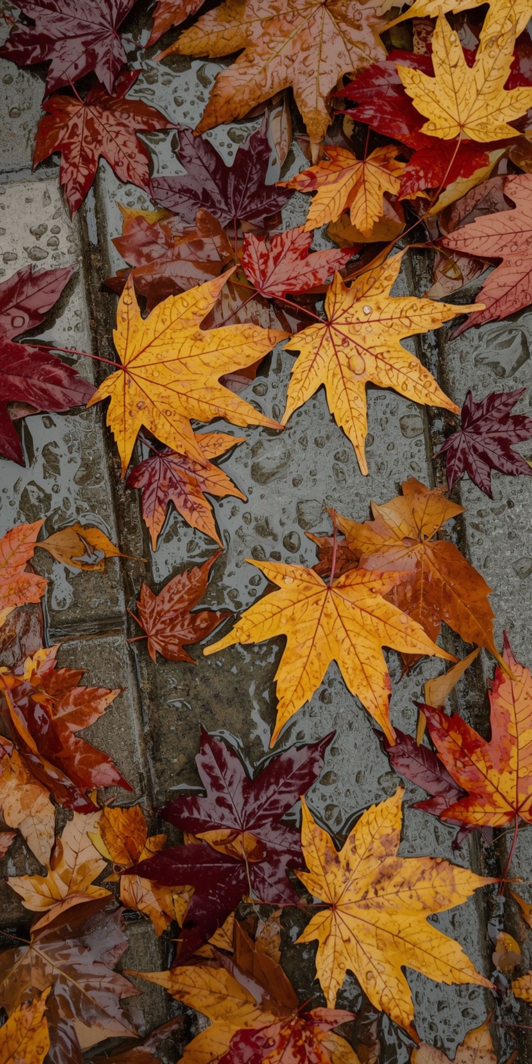 Осінь, яку хочеться перегортати знову 🍁